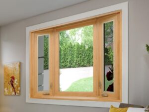choosing energy-efficient windows