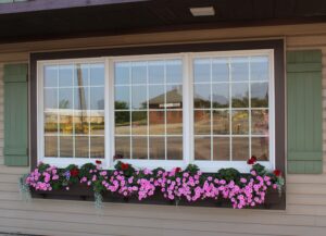 window replacement in Murray